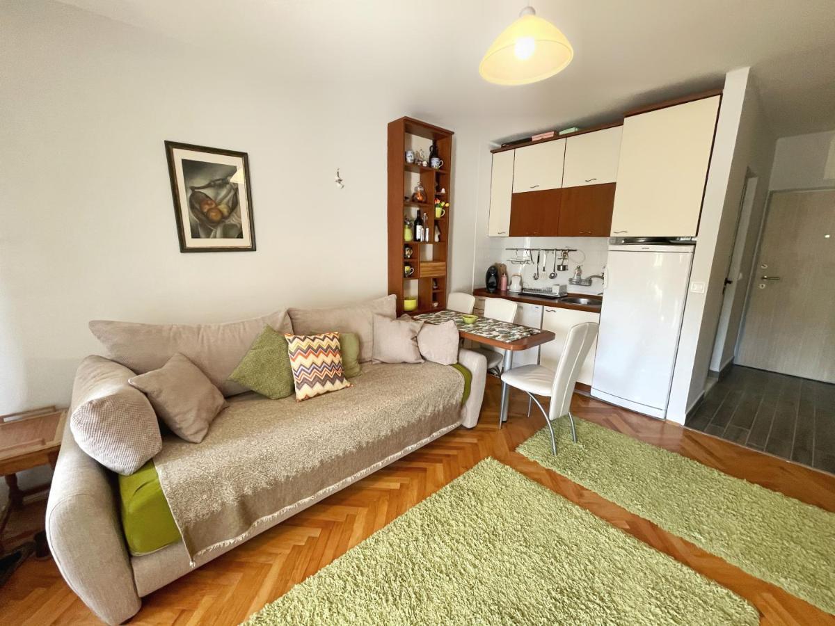 Studio Apartment Irena Sutomore Dış mekan fotoğraf